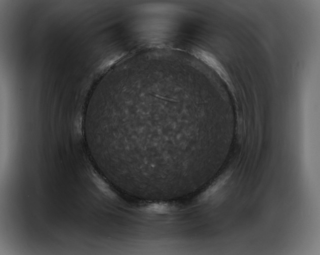 X0000086920441200704161406