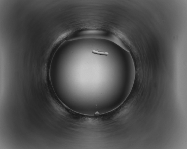X0000086920442200704161406