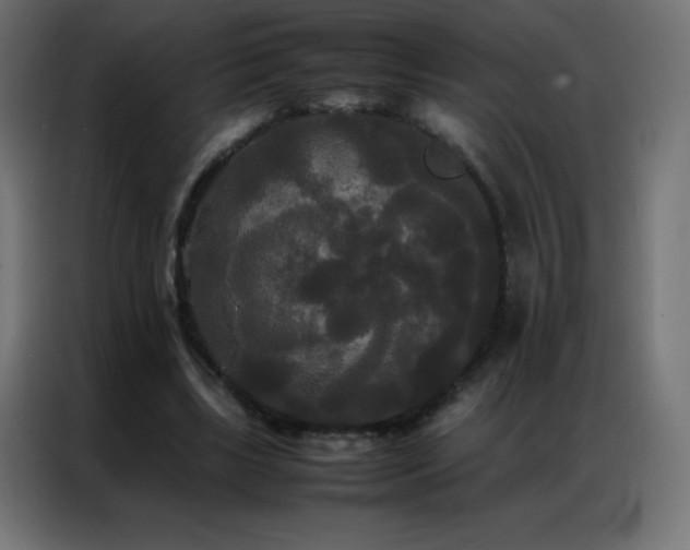 X0000086920443200704161406