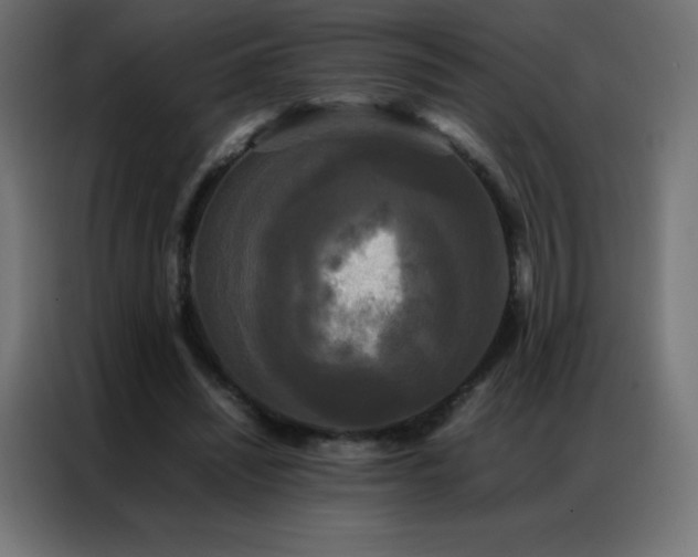X0000086920444200704161406