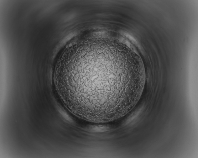 X0000086920445200704161406