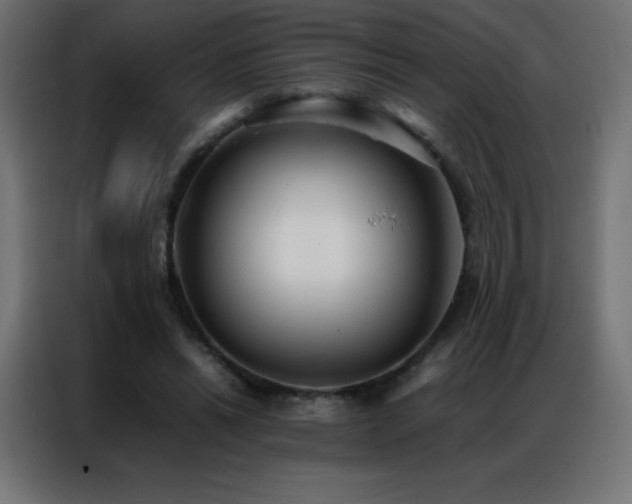 X0000086920446200704161406