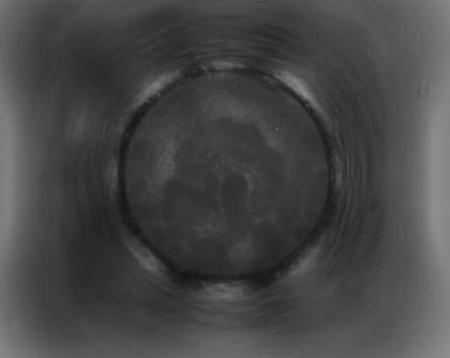 X0000086920447200704161406