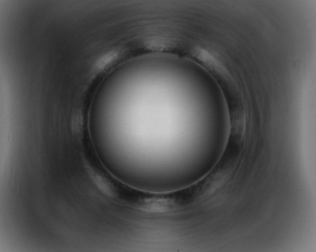 X0000086920448200704161406