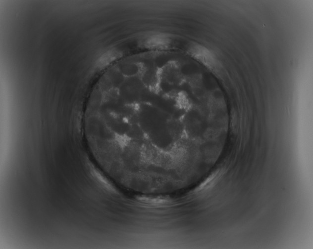 X0000086920449200704161406