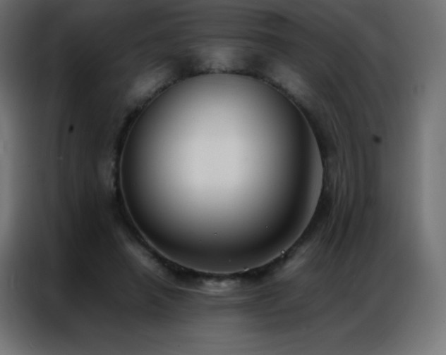 X0000086920450200704161406