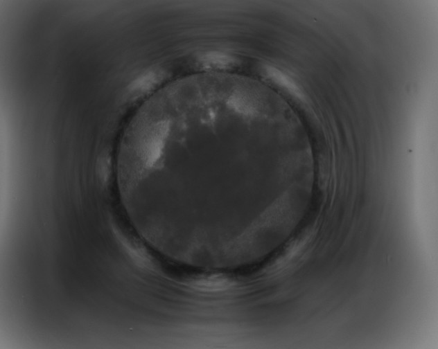 X0000086920451200704161406