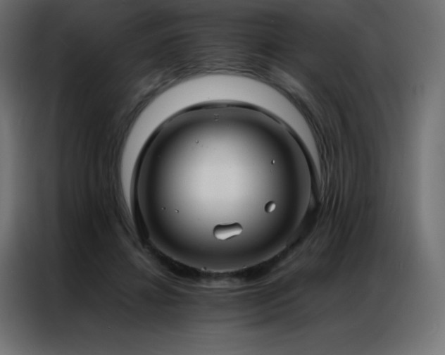 X0000086920452200704161406