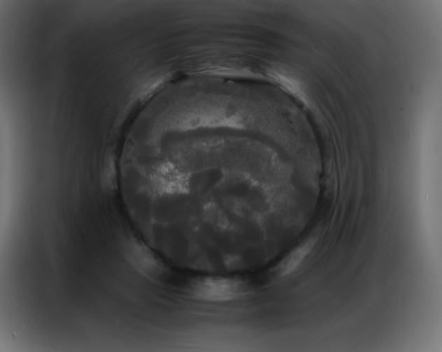 X0000086920453200704161406