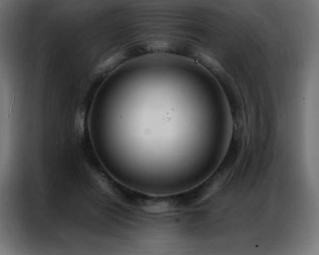X0000086920454200704161406