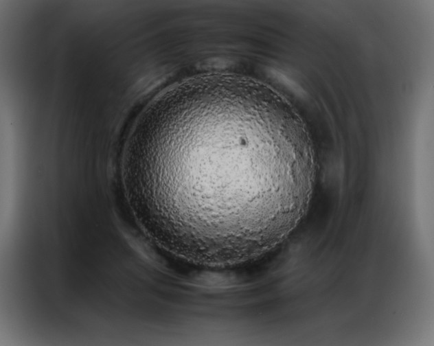 X0000086920455200704161406