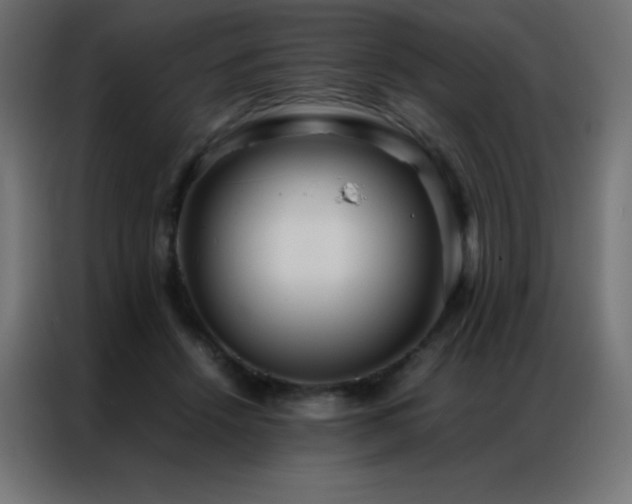 X0000086920456200704161406