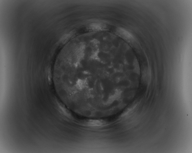 X0000086920457200704161406