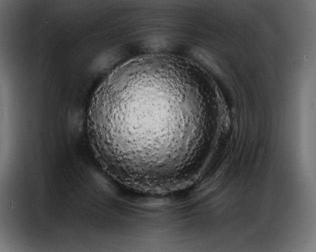 X0000086920458200704161406