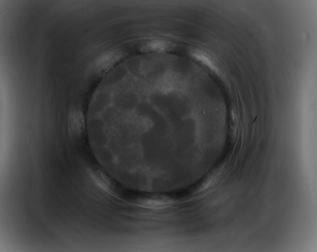 X0000086920459200704161406