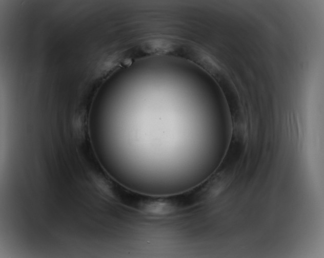 X0000086920460200704161406