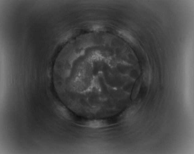 X0000086920461200704161406