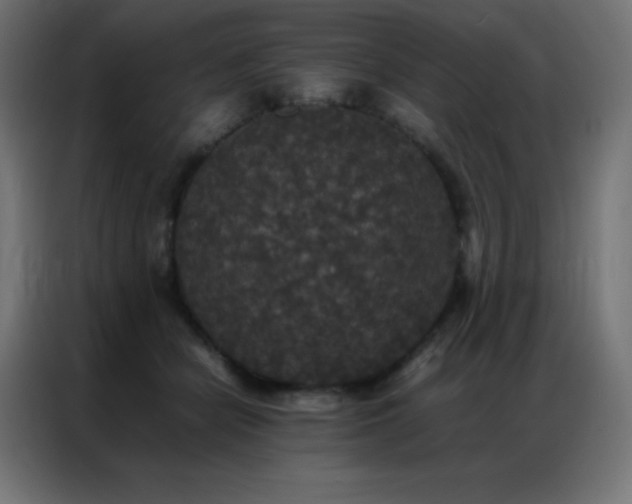 X0000086920462200704161406