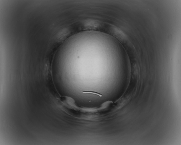X0000086920463200704161406