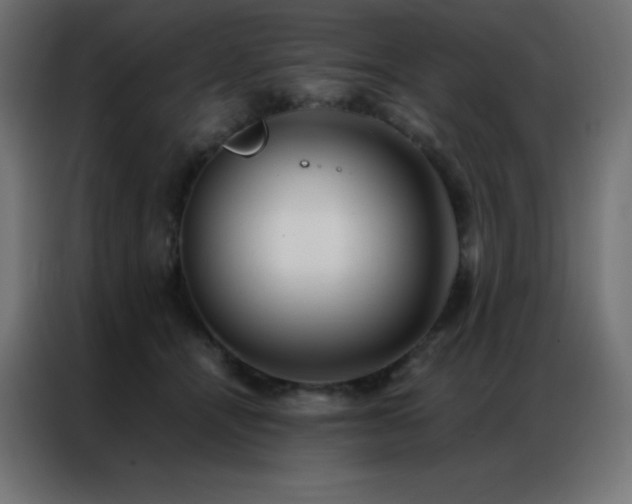 X0000086920464200704161406