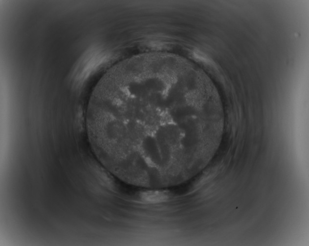 X0000086920465200704161406