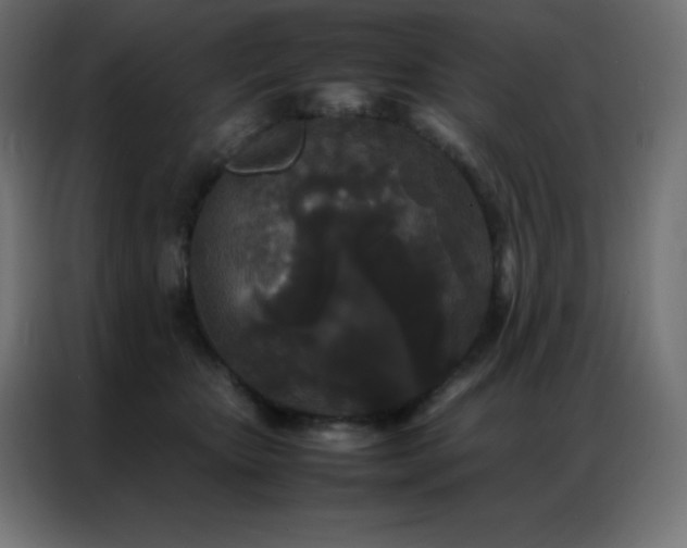 X0000086920467200704161406