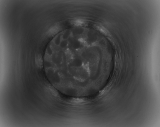 X0000086920469200704161406