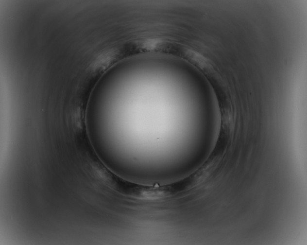 X0000086920470200704161406