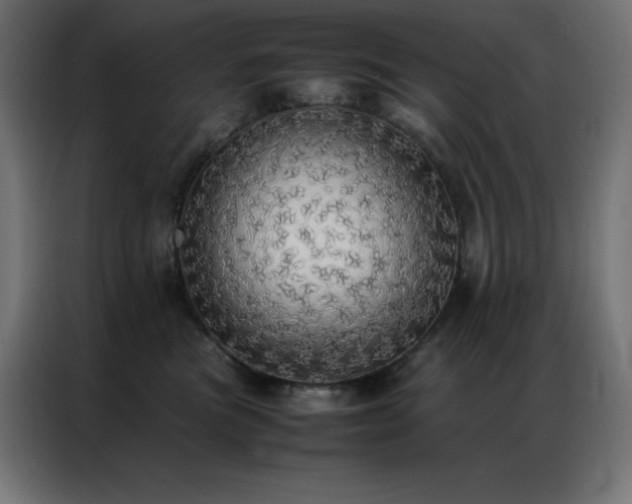 X0000086920473200704161406