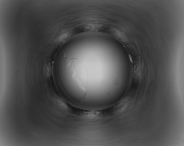 X0000086920474200704161406