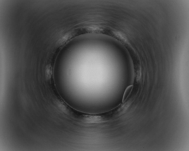 X0000086920476200704161406