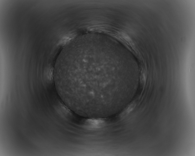 X0000086920477200704161407