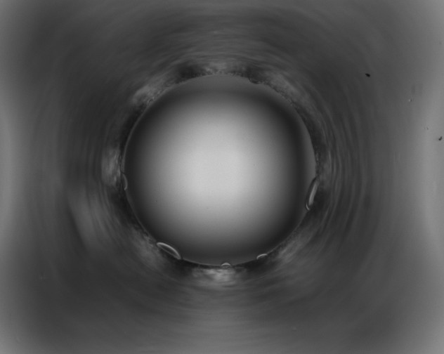 X0000086920478200704161407