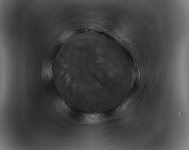 X0000086920479200704161407