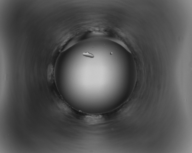 X0000086920480200704161407