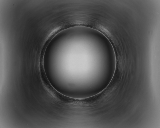 X0000086920482200704161406