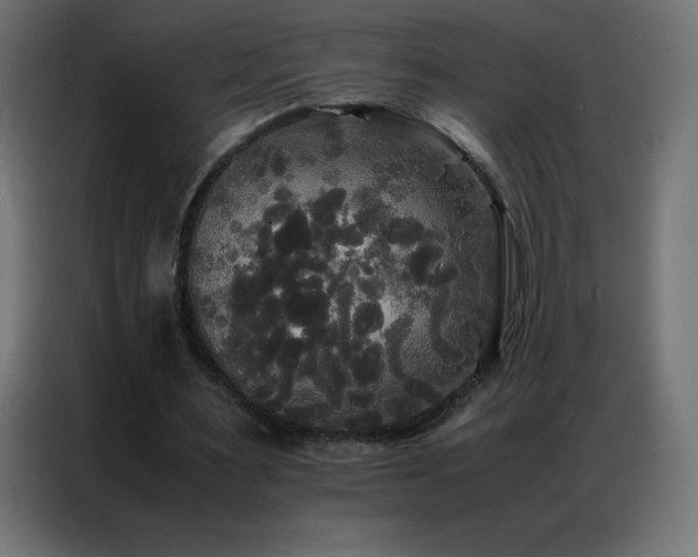 X0000086920483200704161406