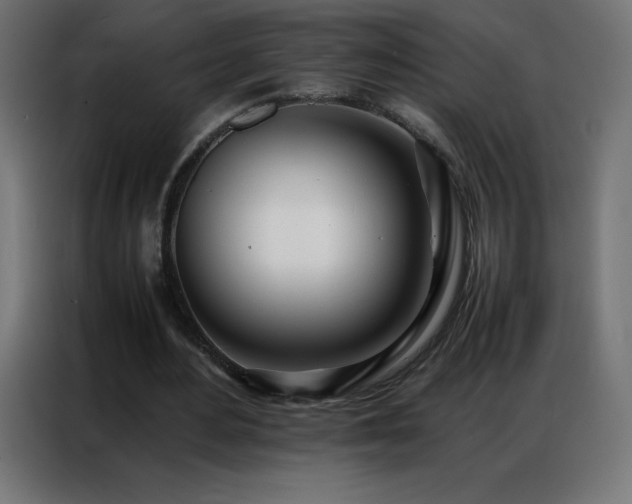 X0000086920484200704161406