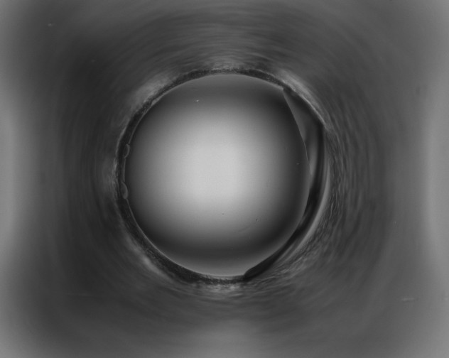 X0000086920485200704161406