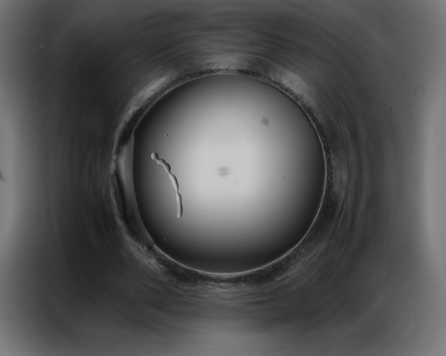 X0000086920486200704161406