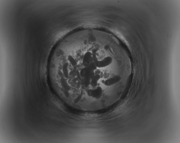 X0000086920487200704161406