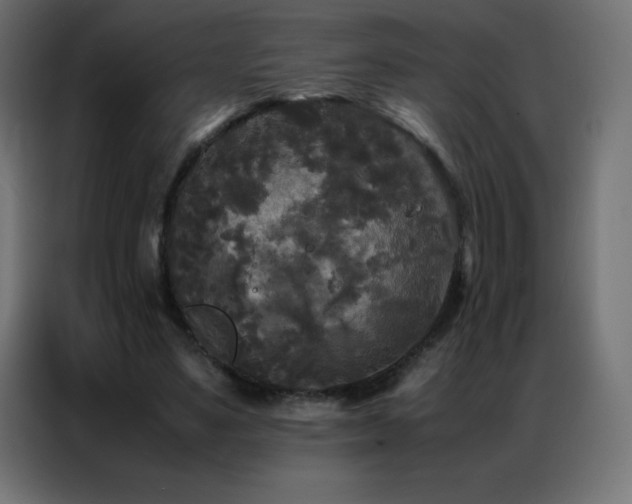 X0000086920491200704161406