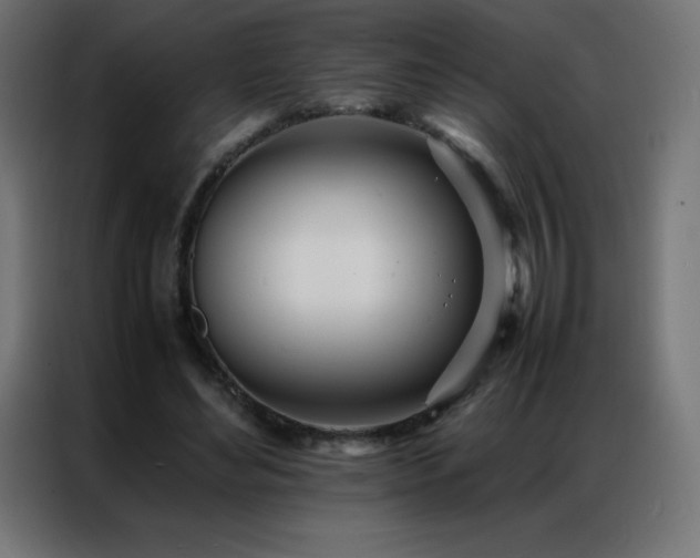 X0000086920492200704161406