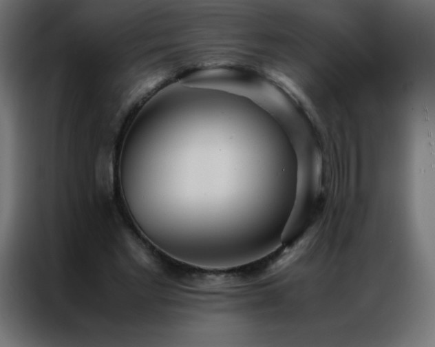 X0000086920493200704161406