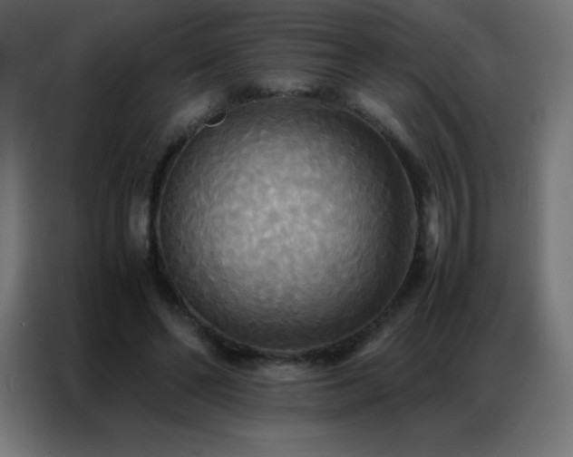 X0000086920494200704161406