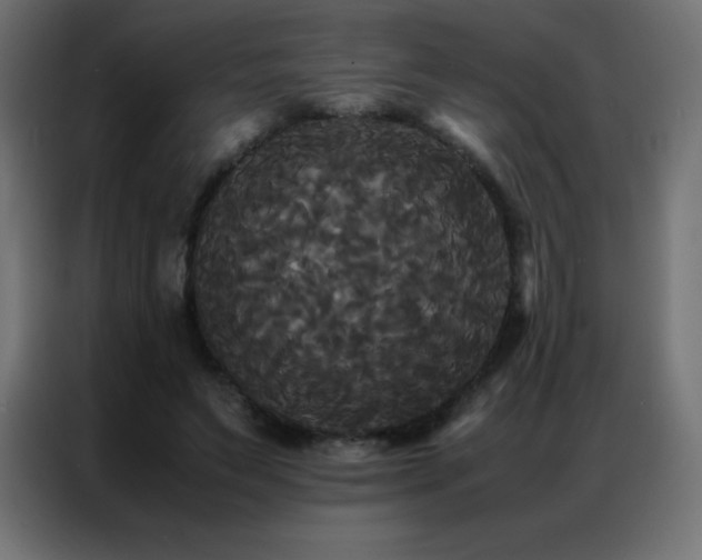 X0000086920495200704161406