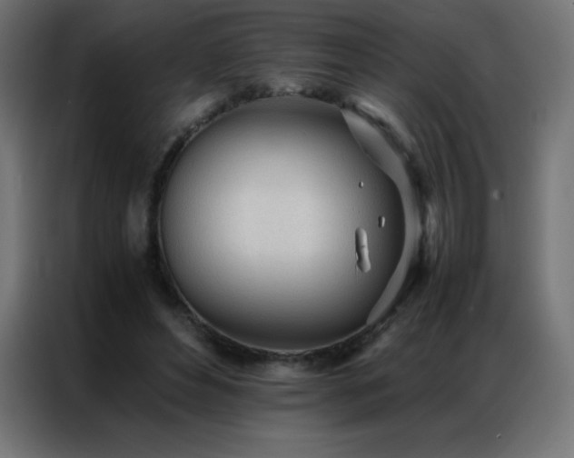 X0000086920496200704161406