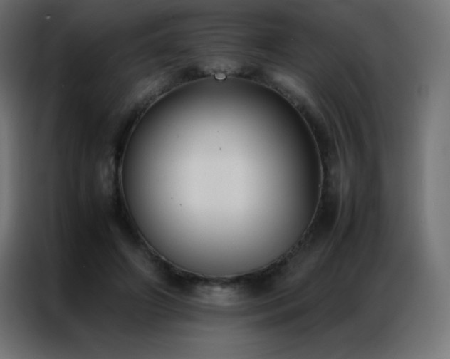 X0000086920498200704161406