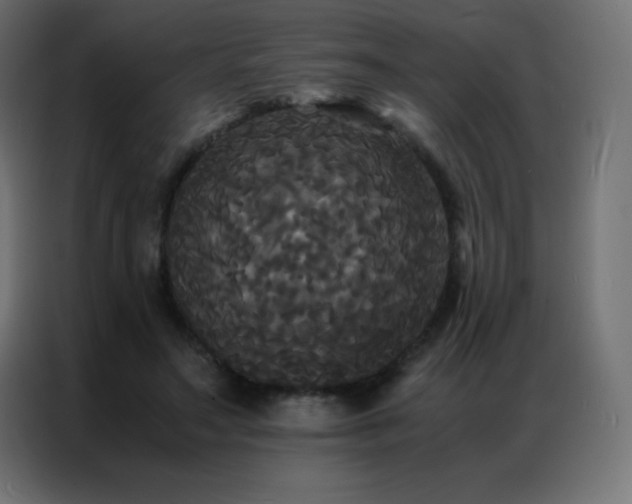 X0000086920499200704161406