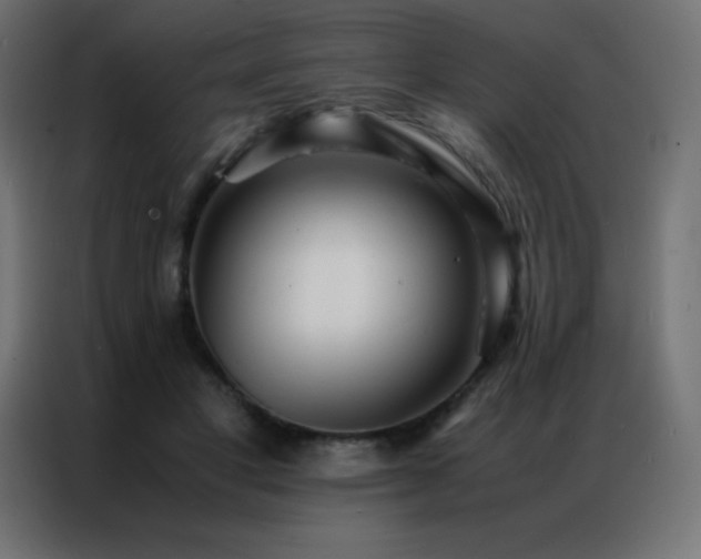 X0000086920501200704161406